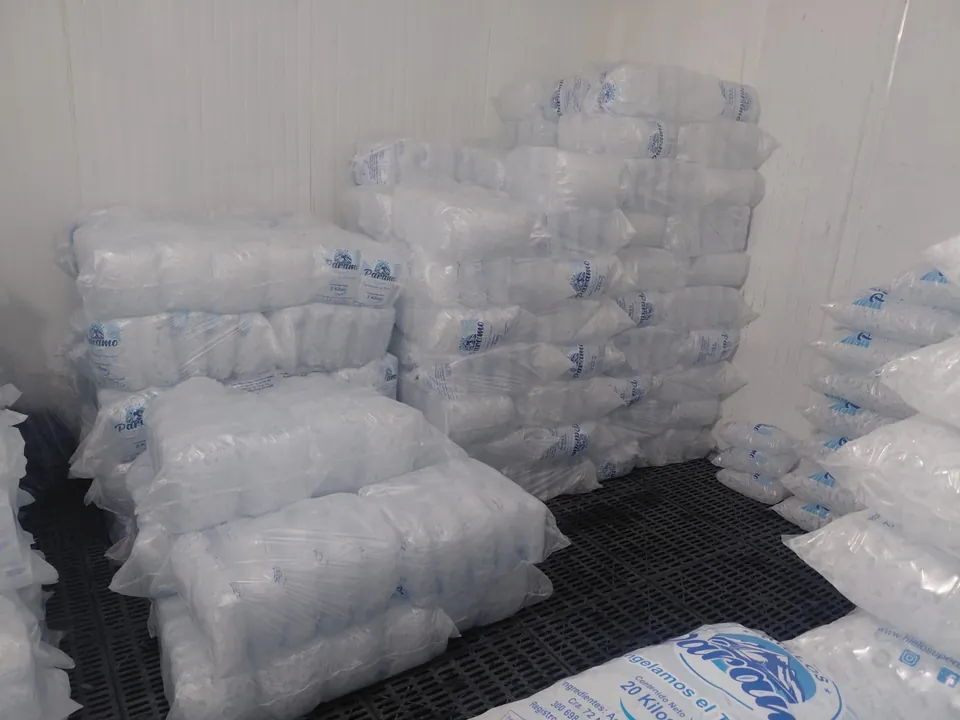 Cuarto frío de la planta con bolsas listas para despachar